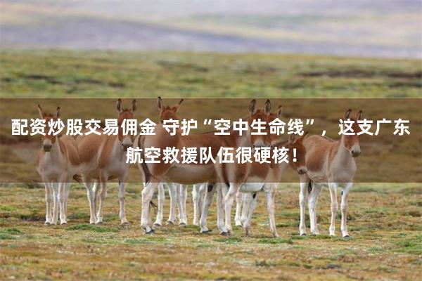 配资炒股交易佣金 守护“空中生命线”，这支广东航空救援队伍很硬核！