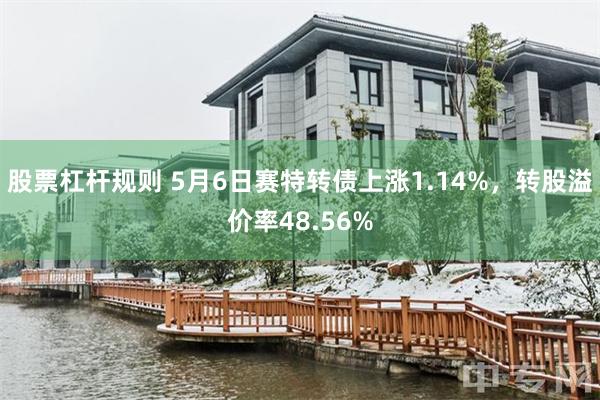 股票杠杆规则 5月6日赛特转债上涨1.14%，转股溢价率48.56%