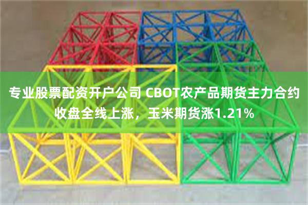 专业股票配资开户公司 CBOT农产品期货主力合约收盘全线上涨，玉米期货涨1.21%