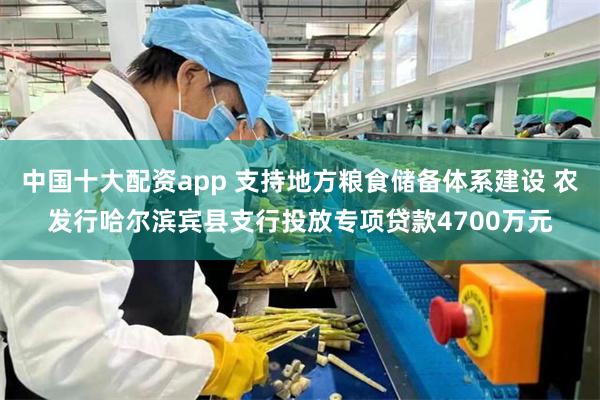 中国十大配资app 支持地方粮食储备体系建设 农发行哈尔滨宾县支行投放专项贷款4700万元
