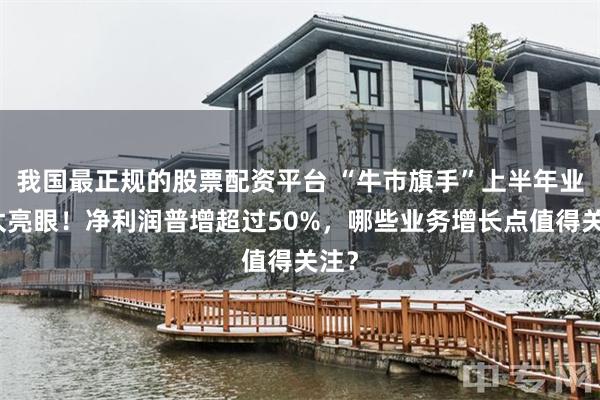我国最正规的股票配资平台 “牛市旗手”上半年业绩太亮眼！净利润普增超过50%，哪些业务增长点值得关注？