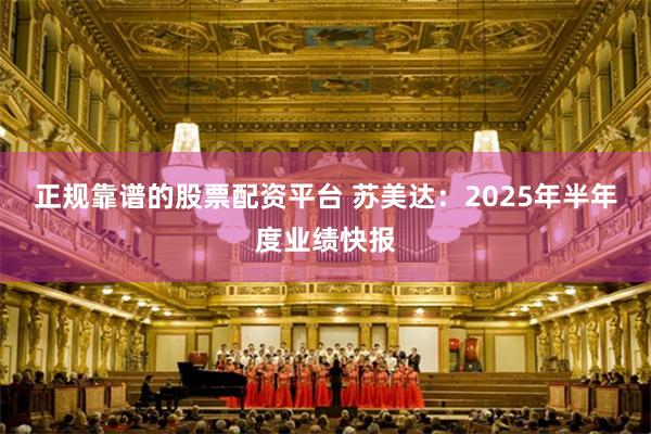 正规靠谱的股票配资平台 苏美达：2025年半年度业绩快报