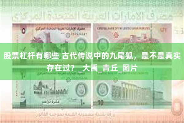 股票杠杆有哪些 古代传说中的九尾狐，是不是真实存在过？_大禹_青丘_图片