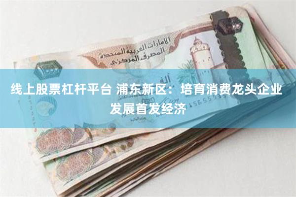 线上股票杠杆平台 浦东新区：培育消费龙头企业 发展首发经济