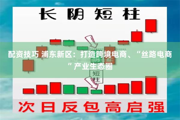 配资技巧 浦东新区：打造跨境电商、“丝路电商”产业生态圈