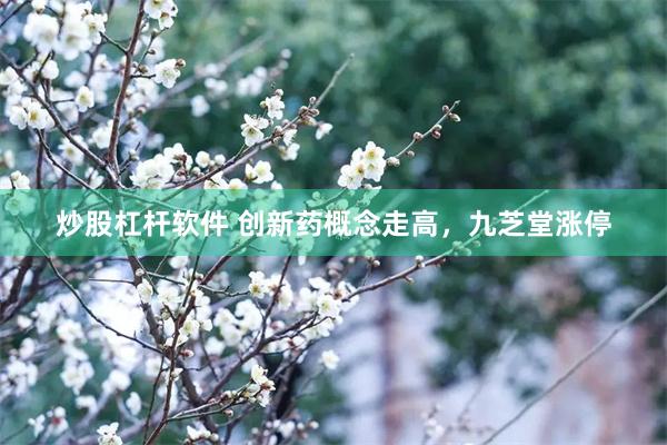 炒股杠杆软件 创新药概念走高，九芝堂涨停