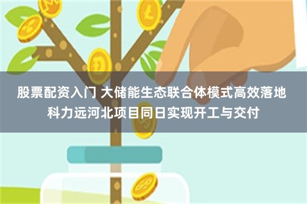 股票配资入门 大储能生态联合体模式高效落地 科力远河北项目同日实现开工与交付