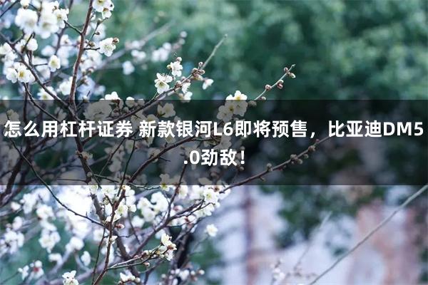 怎么用杠杆证券 新款银河L6即将预售，比亚迪DM5.0劲敌！